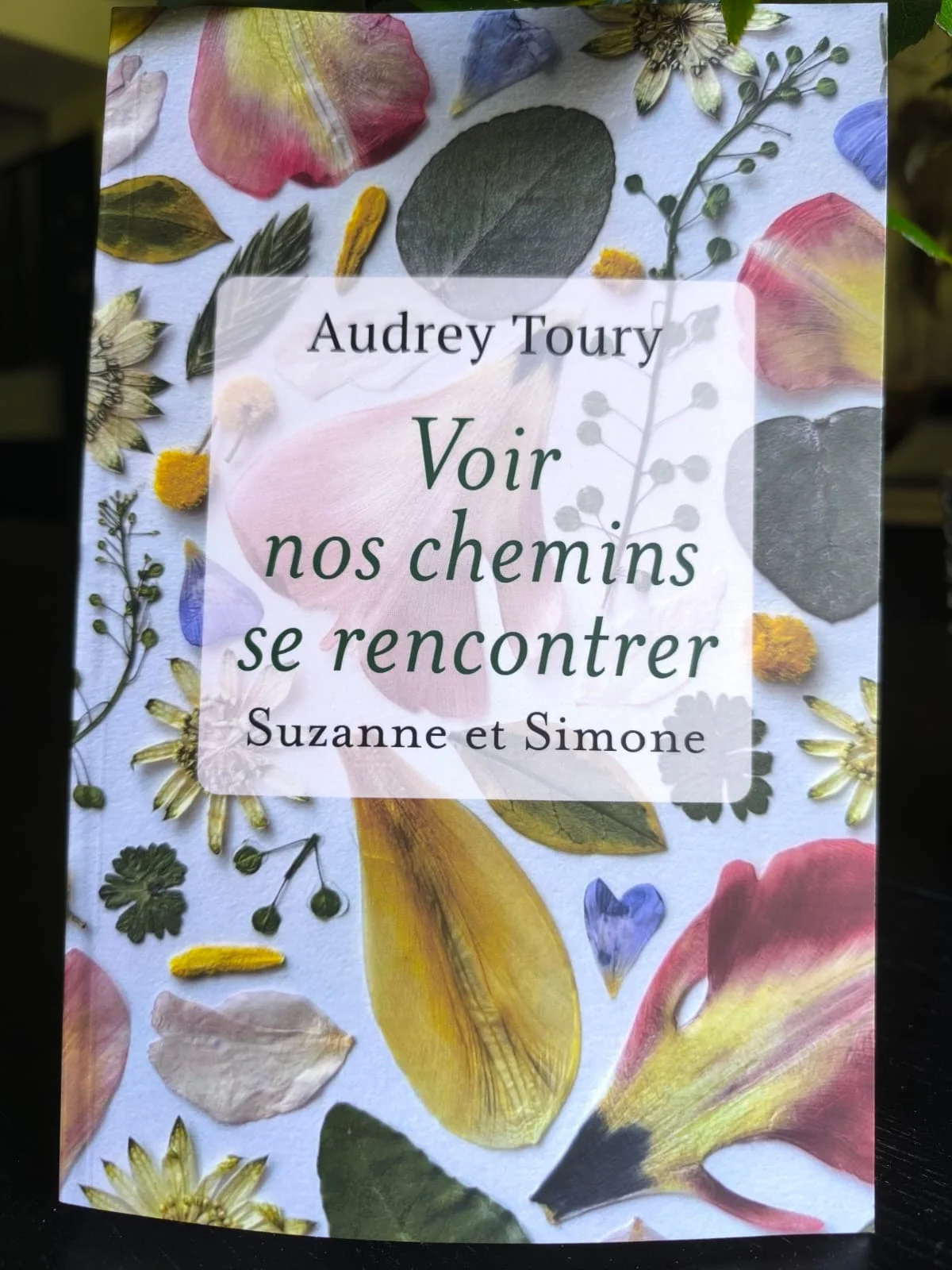 Couverture du roman Voir nos chemins se rencontrer, Suzanne et Simone, d’Audrey Toury