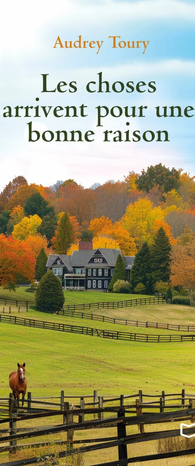 Couverture du roman Les choses arrivent pour une bonne raison, d’Audrey Toury